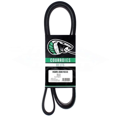 Serpentine Belt