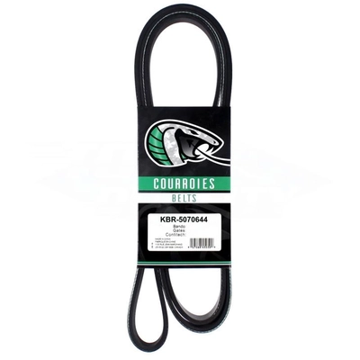 Serpentine Belt