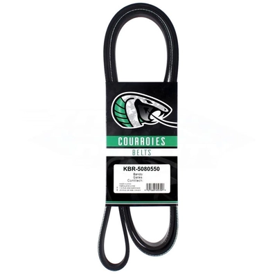 Serpentine Belt